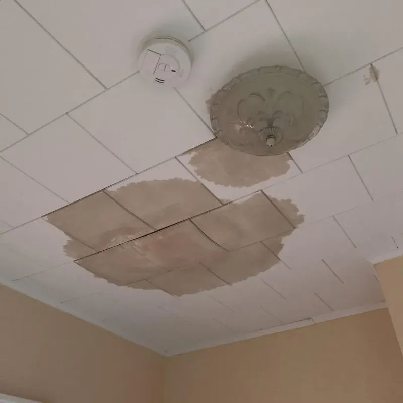 Ceiling Water Damage Repair in Oak Ridge, TN