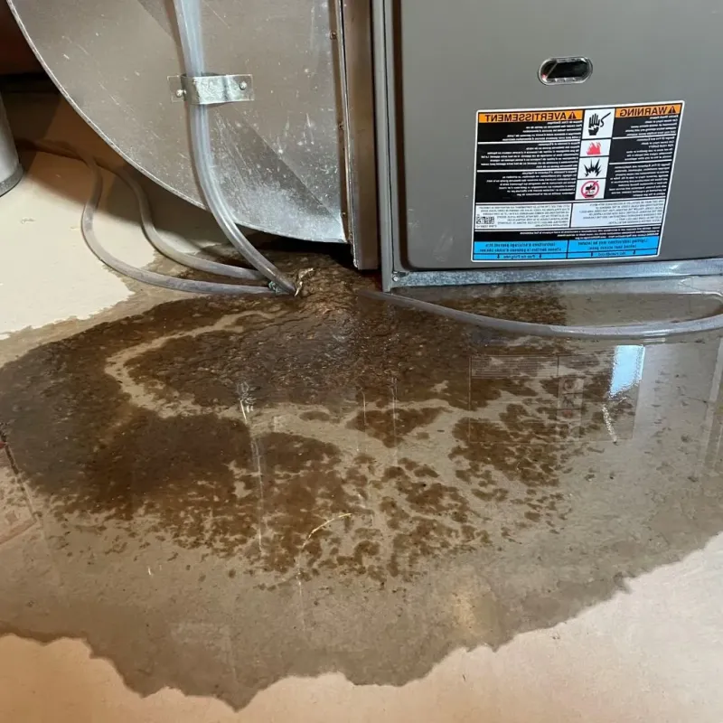 Pipe Burst and Leak Restoration in Oak Ridge, TN