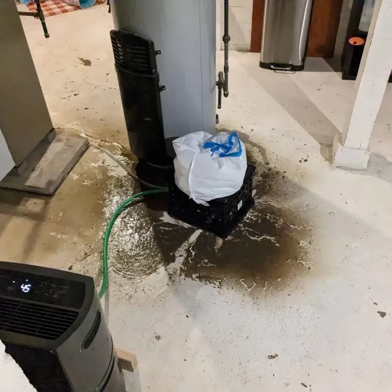 Sewage Backup Cleanup Service in Oak Ridge, TN